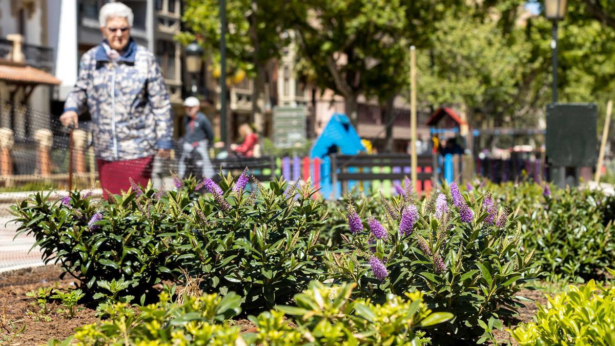 Nuevas zonas verdes en el paseo Sagasta de Zaragoza