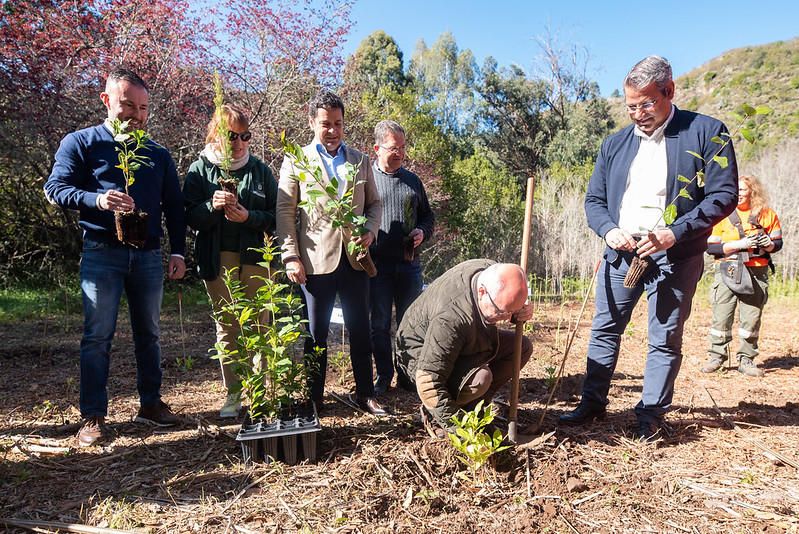 Reforestación de la Selva de Doramas