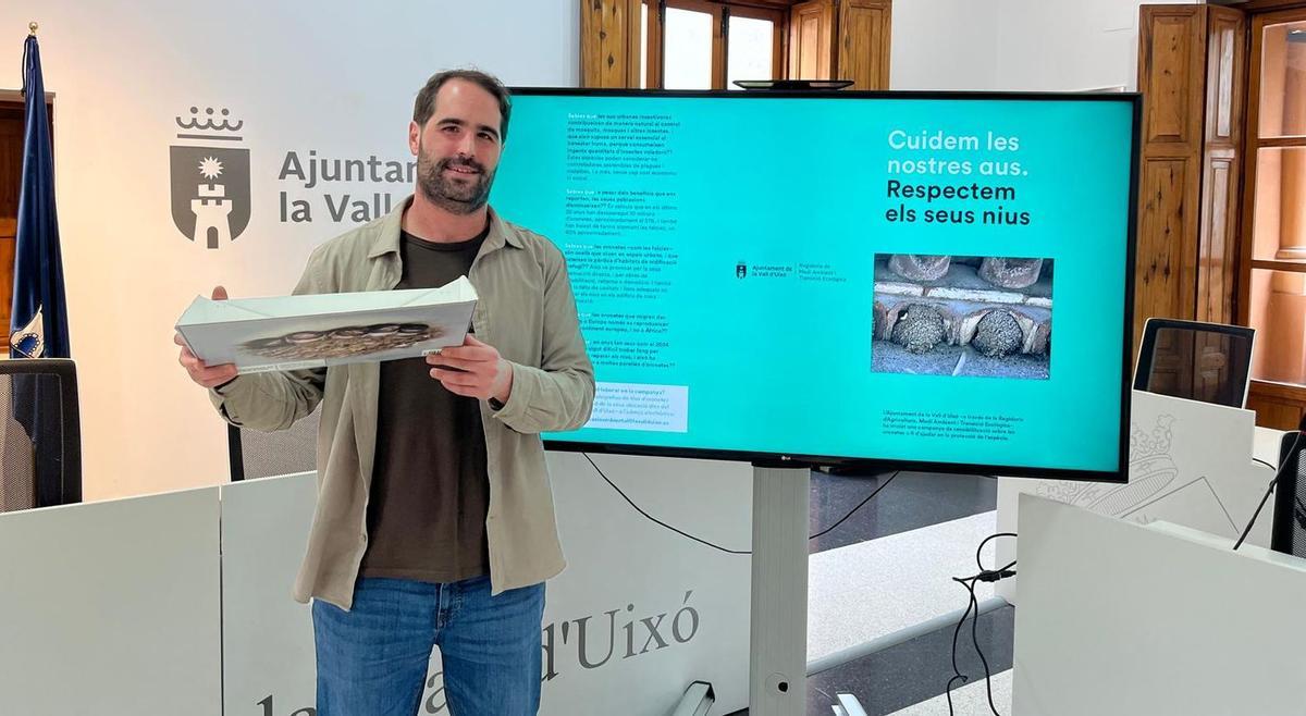 El concejal de Medioambiente de la Vall, Marc Seguer, muestra una de las bandejas fabricadas para recoger los excrementos de los nidos urbanos.