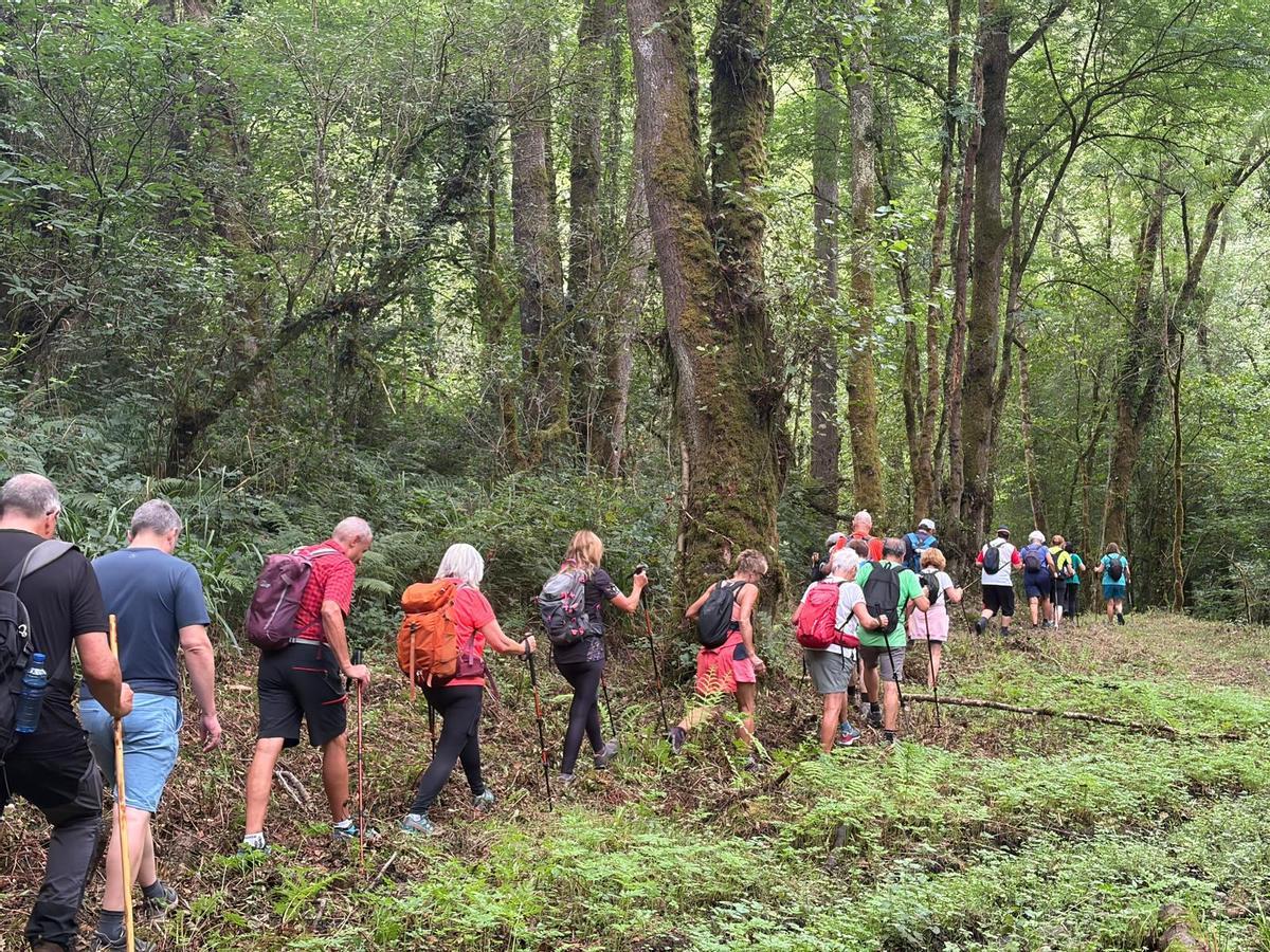 La caminata con el Grupo Montañero Moscón, en imágenes La caminata con el Grupo Montañero Moscón, en imágenes