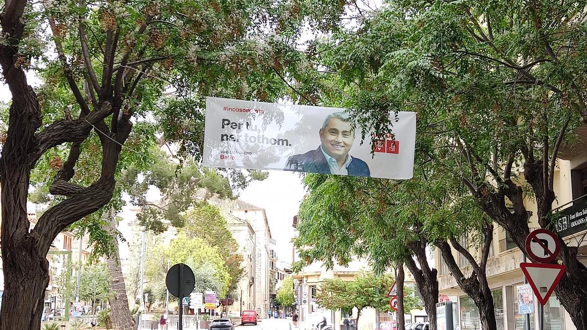 Pancarta electoral ubicada entre dos árboles en la Avinguda d&#039;Alcúdia de Inca.