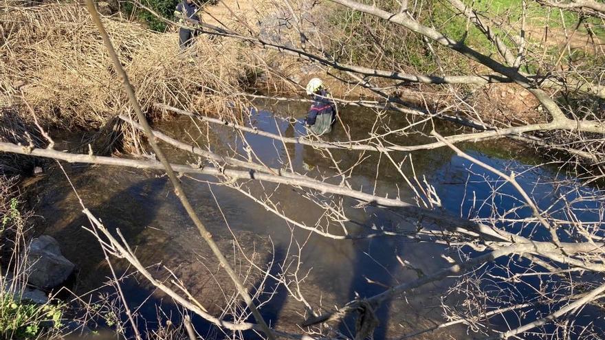 Bomberos y Policía intervienen en una caída de una mujer con su perro al arroyo Pedroche