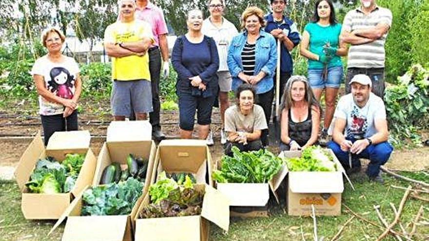 Cosecha en los huertos urbanos de O Burgo para entregar al Fondo Municipal de Alimentos de Culleredo en 2015.