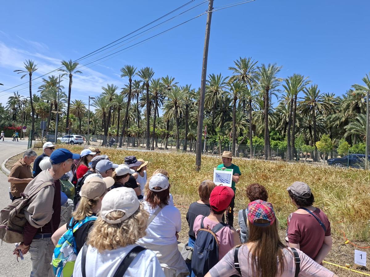 Más de 1.400 personas acudieron a la cita.