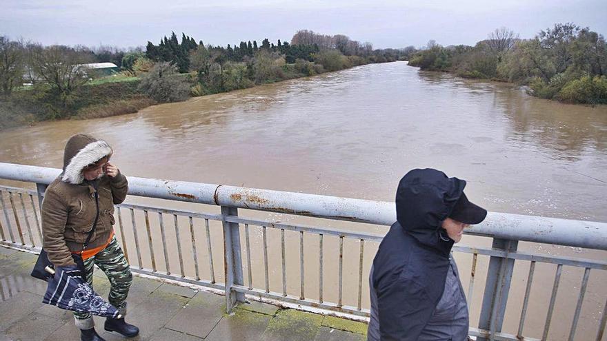 El riu Ter, crescut per les pluges, a Torroella, el desembre de l&#039;any passat.