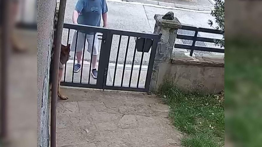 Investiguen un home per llançar líquid corrosiu a dos gossos a Olot
