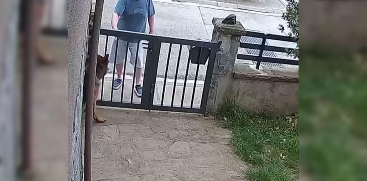 Vídeo | Investiguen un home per llançar líquid corrosiu a dos gossos a Olot
