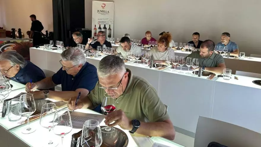 Los expertos valoran la añada 2024 de la DOP Jumilla como ‘muy buena’