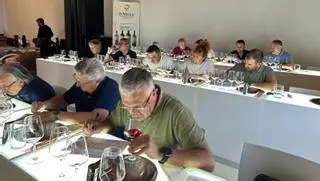 Los expertos valoran la añada 2024 de la DOP Jumilla como ‘muy buena’