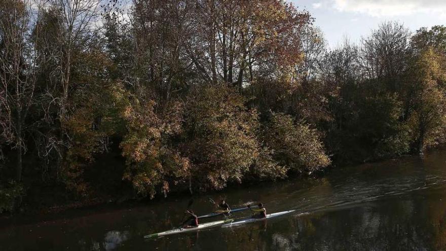 Varios piragüistas en el río Arga a su paso por Pamplona, aprovecharon ayer el buen tiempo para entrenar.