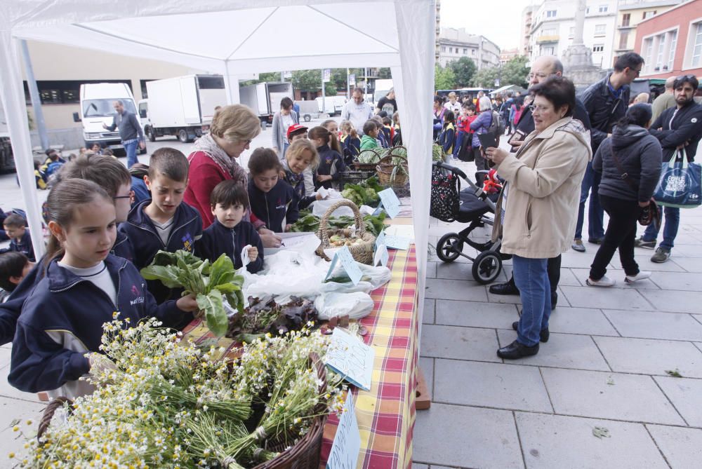 Els infants venen verdures al Mercat del Lleó