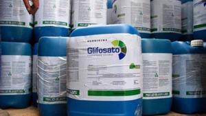 La UE frena la prórroga del polémico herbicida glifosato