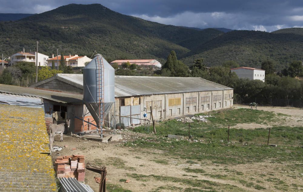 La Granja de Cantallops on denuncien irregularitat