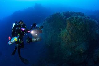 Los corales negros permanecen intactos pese a la furia del volcán de La Palma