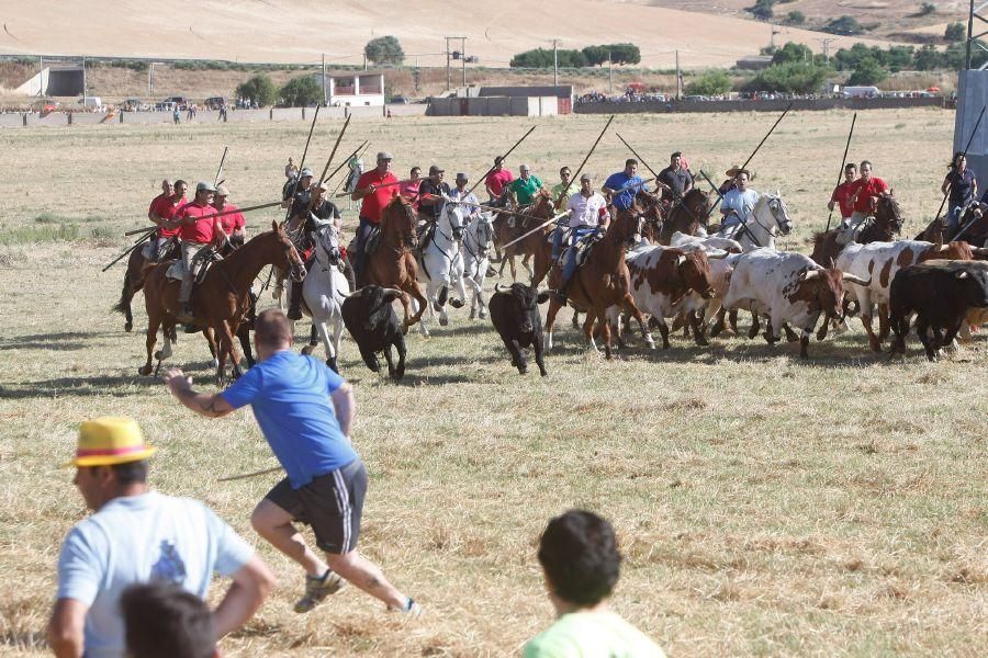 Fiestas en Zamora: Segudos espantes de Fuentesaúco