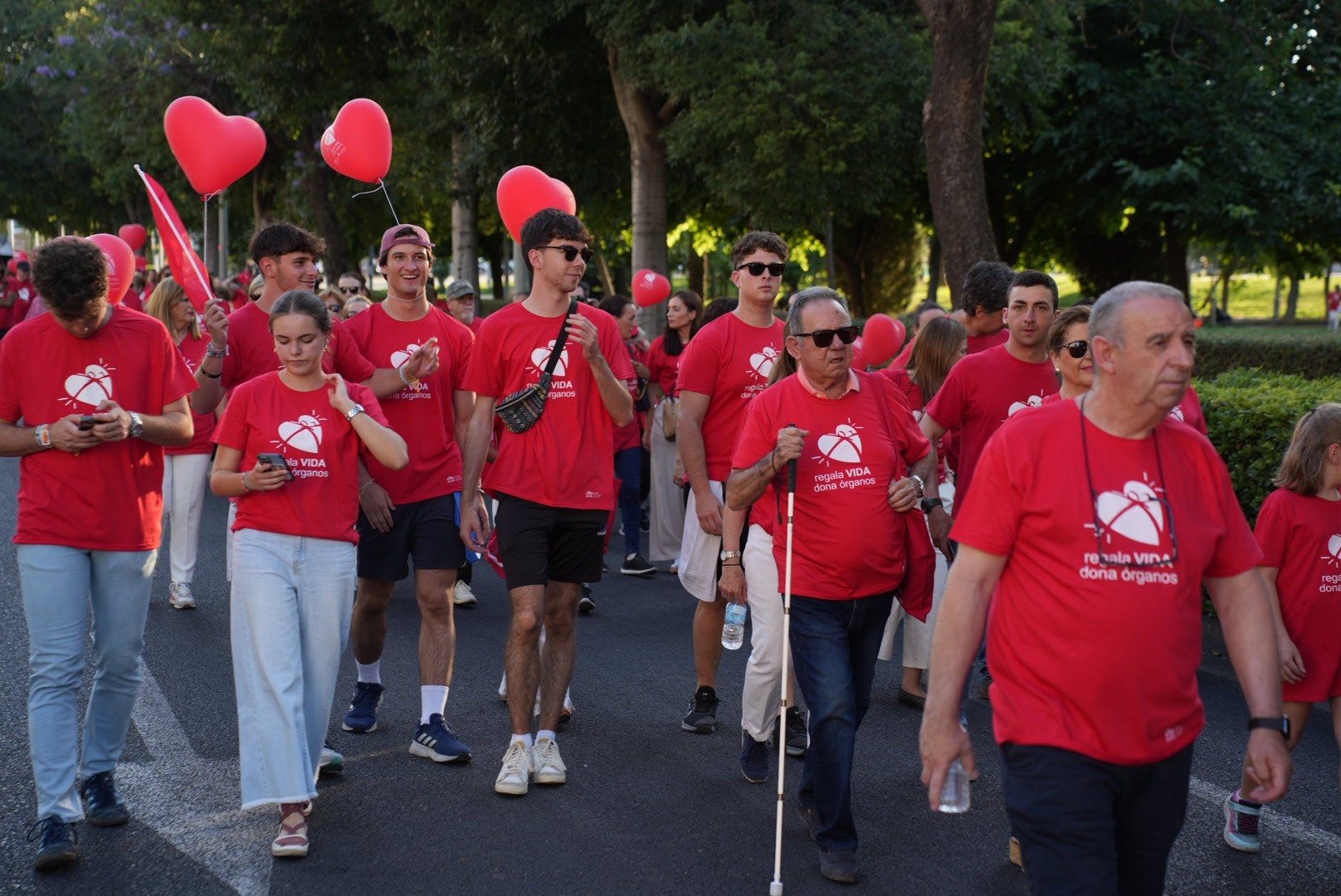 La marcha por la donación de órganos, en imágenes