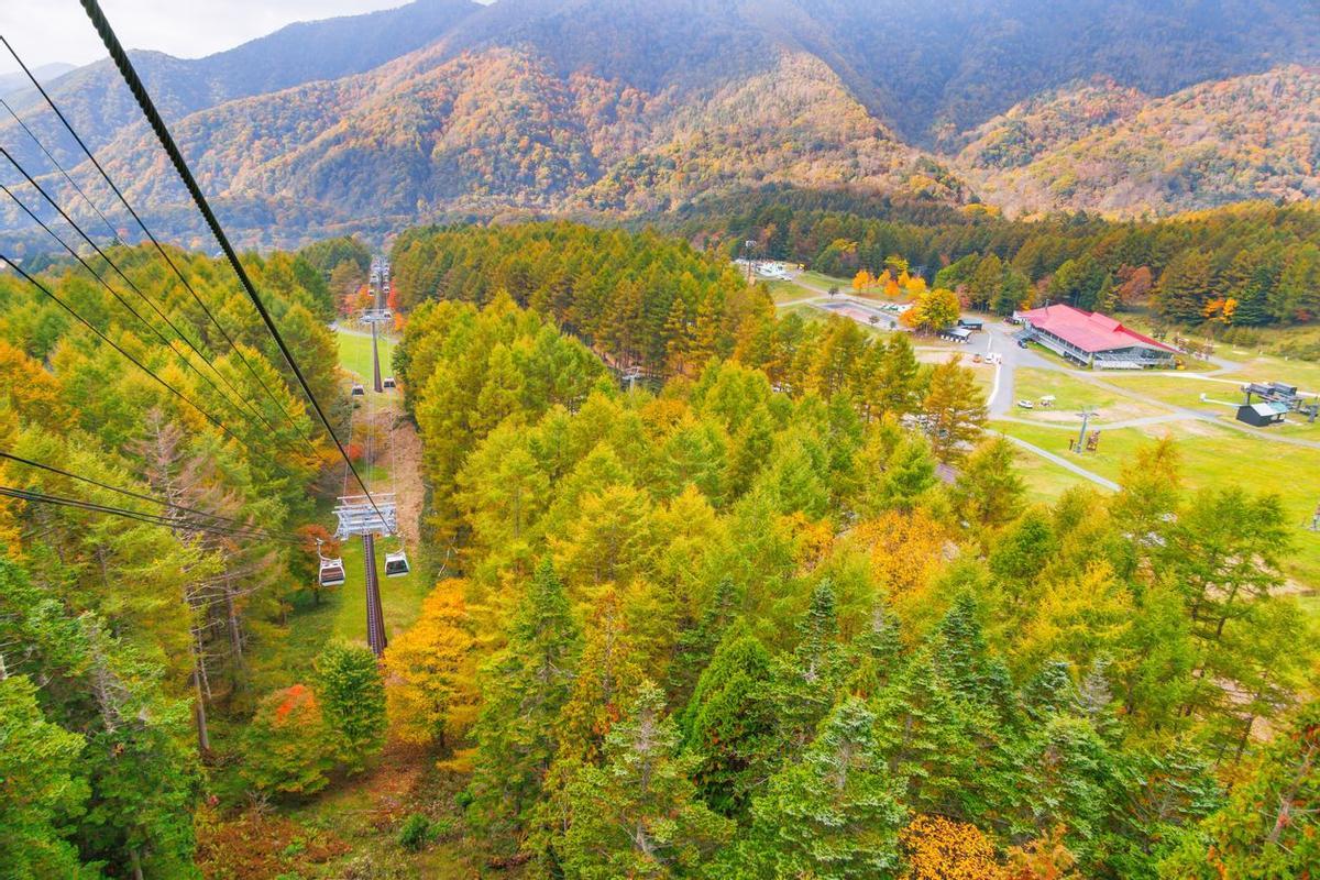 Vistas del Parque Nacional de Nikko