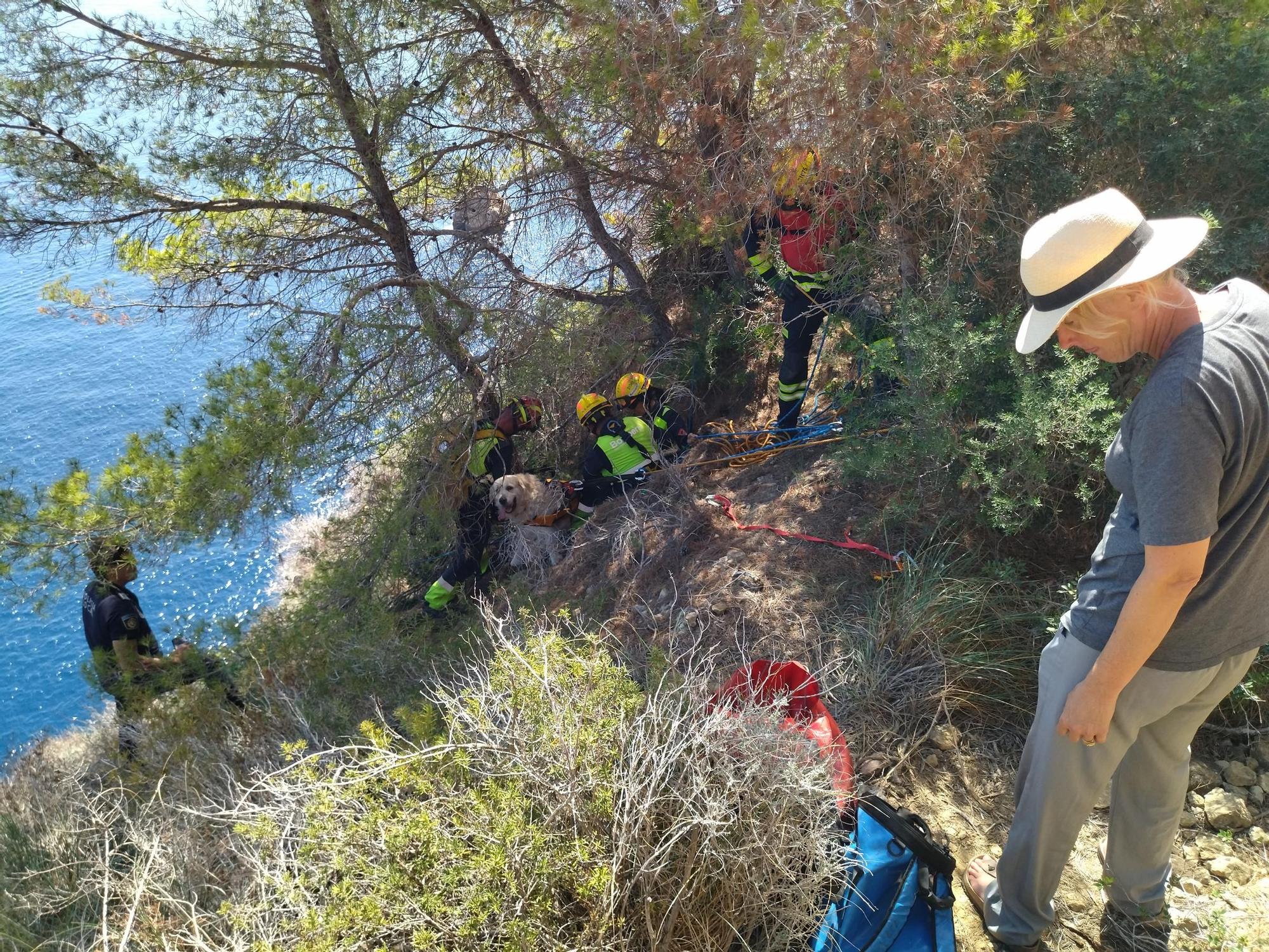 Las imágenes del rescate del perro que ha caído de 30 metros en el acantilado de Xàbia