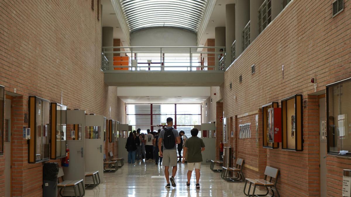 Estudiantes en el campus de Teatinos de la UMA.