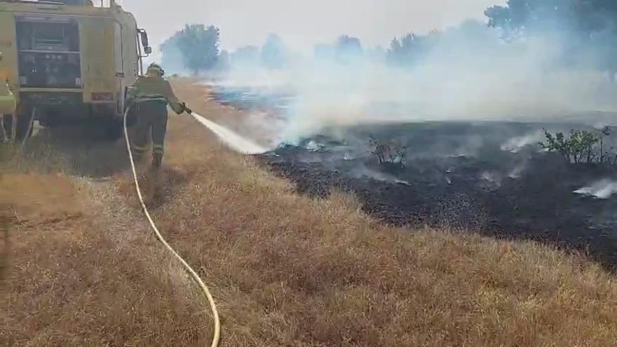 VÍDEO | Reproducción del incendio en Sarracín de Aliste