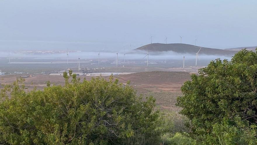 Neblina entre molinos de viento: la imagen más quijotesca del Cruce de Arinaga