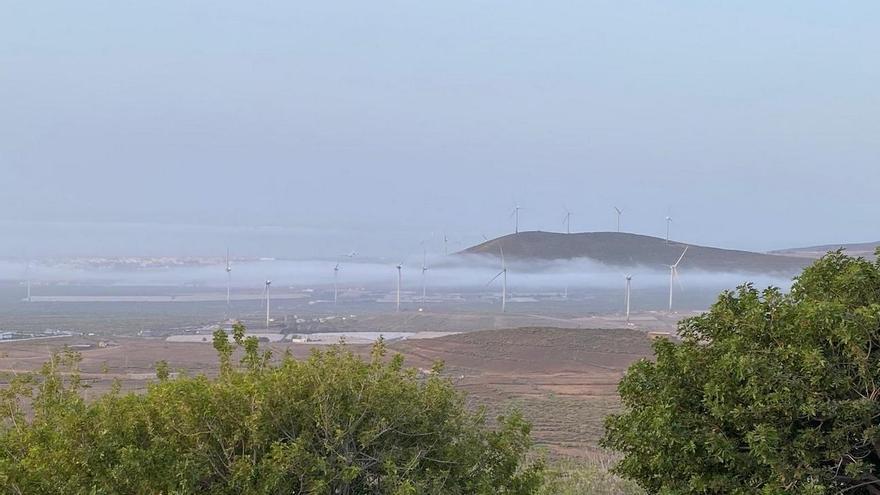 Neblina en el Cruce de Arinaga (Agüimes).