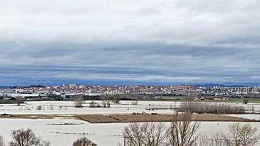 Vega del Esla entre Castrogonzalo y Benavente.