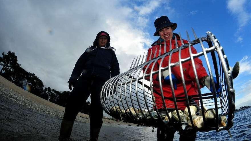 Las mariscadoras de Carril, analizando el estado de la almeja, que murió casi en un 100%. // FDV