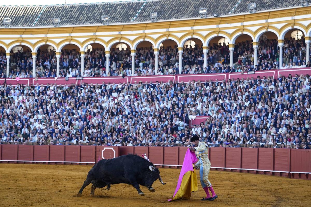 El torero David de Miranda durante la primera corrida del abono taurino en la Real Maestranza de Caballería.