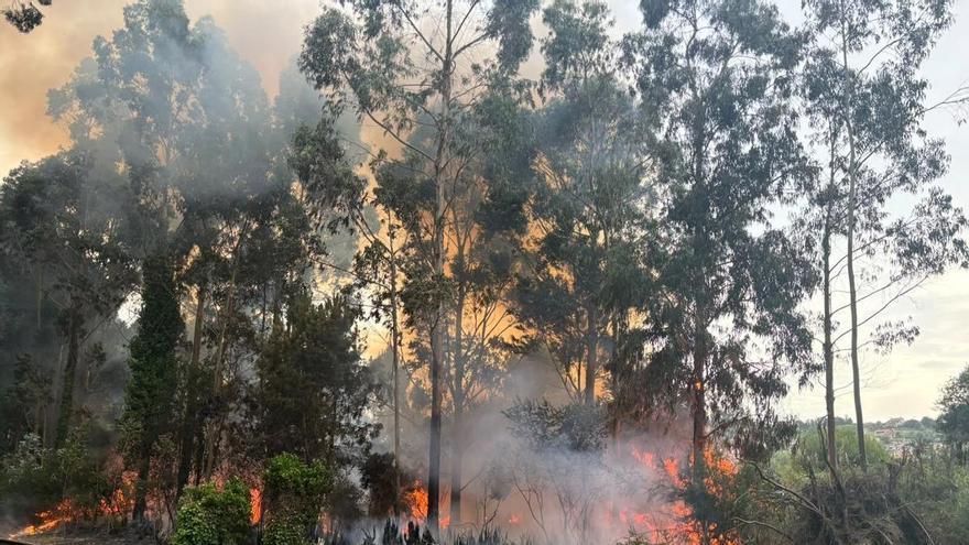 Movilizan a bomberos y Medio Rural por un incendio forestal en A Barcala
