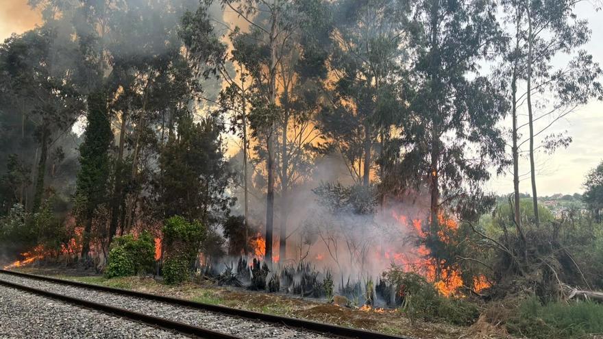 Incendio forestal en A Barcala