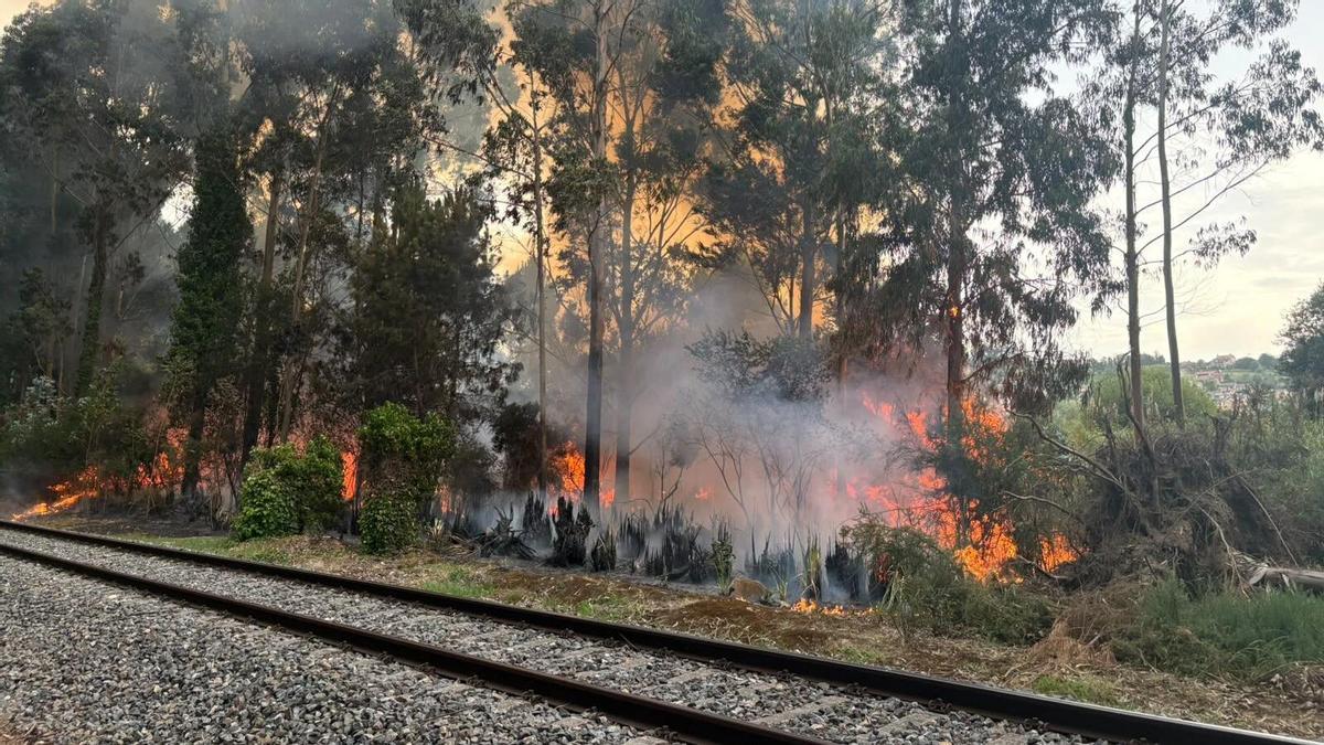 Incendio forestal en A Barcala