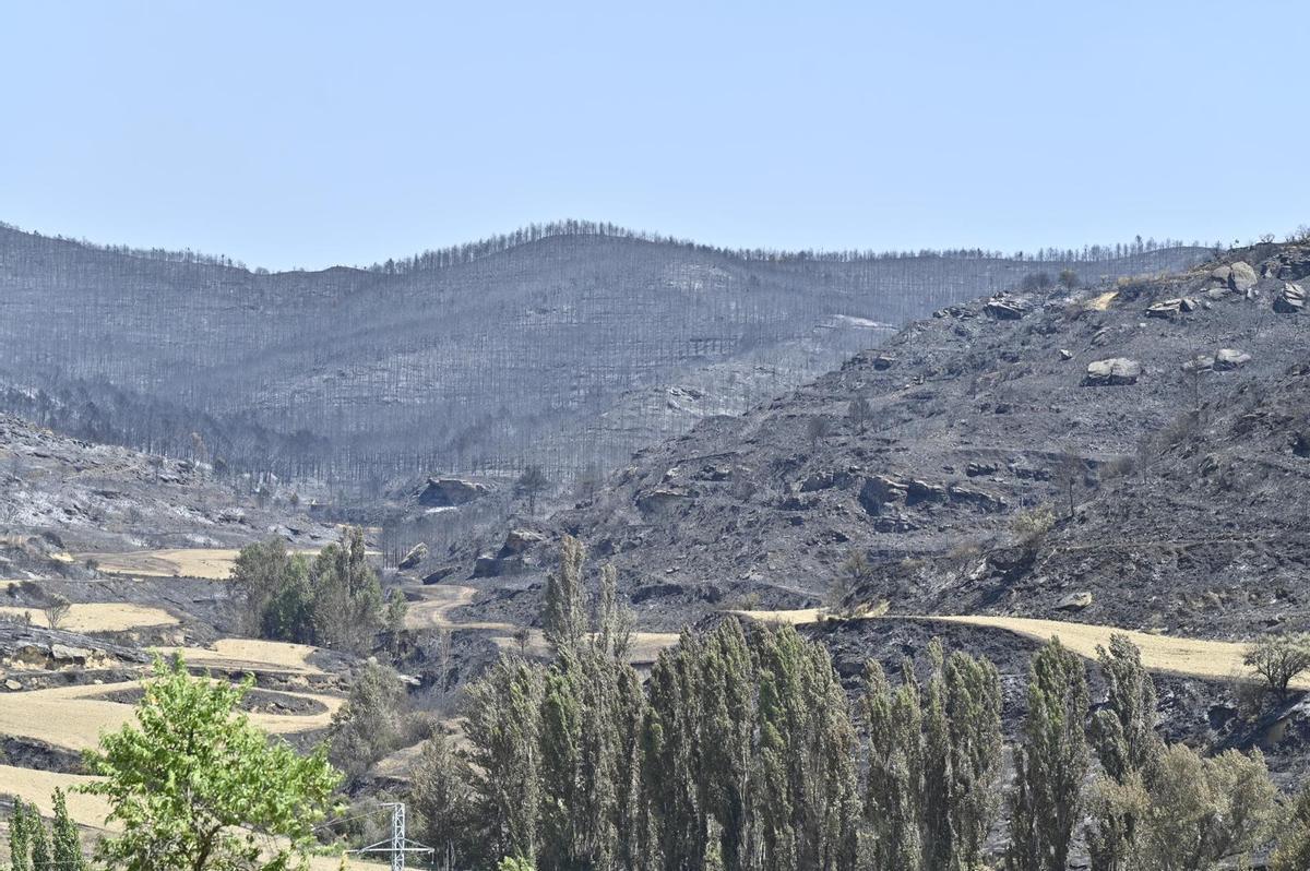 En imágenes | El incendio de las Cinco Villas asciende ya a 12.600 hectáreas y seis pueblos continúan evacuados