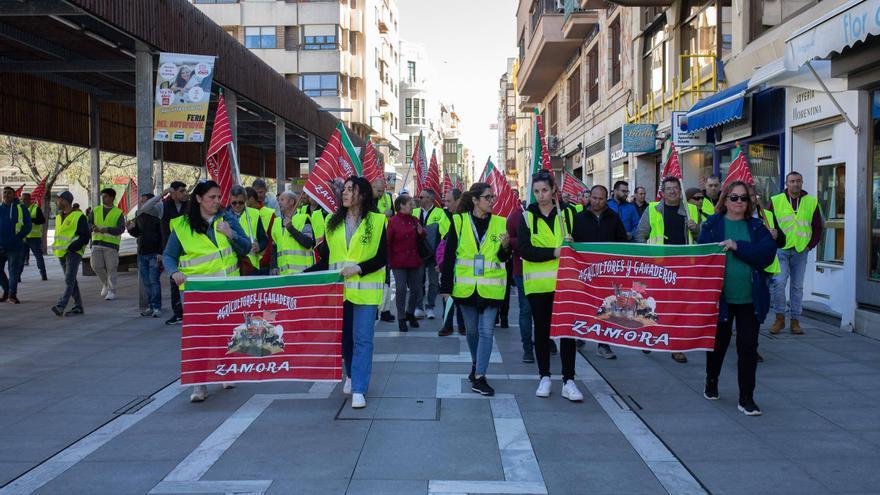 GALERÍA | Nueva movilización de agricultores y ganaderos en Zamora