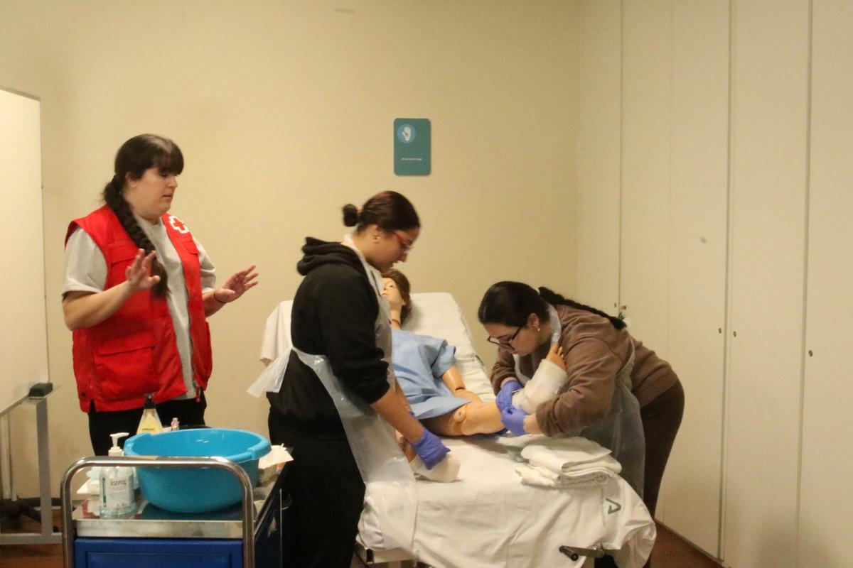 Formación Profesional en CFP Cruz Roja Córdoba.