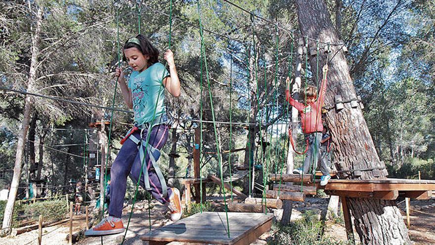 Das bieten die Kletterparks auf Mallorca