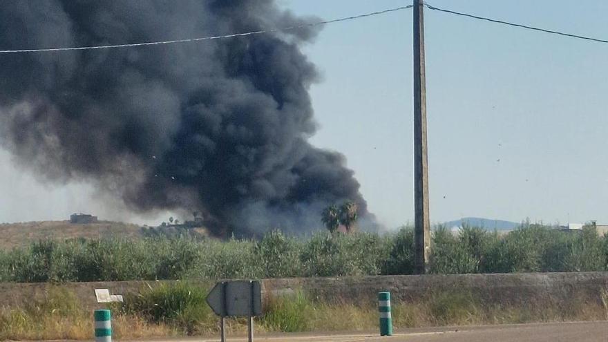 Una intensa nube de humo alerta de un incendio en una nave hortofrutícola de Valdivia