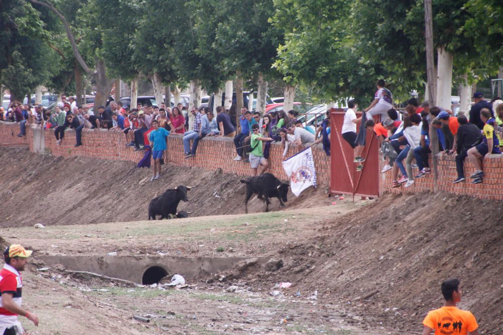 Espante infantil de Fuentesaúco