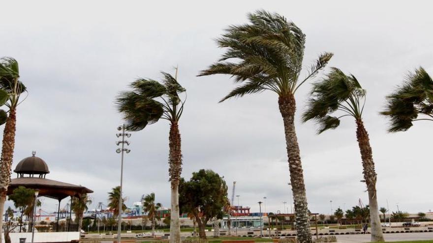 Temporal de viento de hace unos meses en la costa de Valencia.