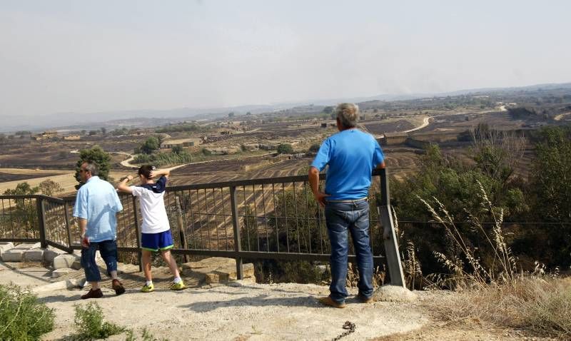 Fotogalería del incendio en el término de Luna en las Cinco Villas