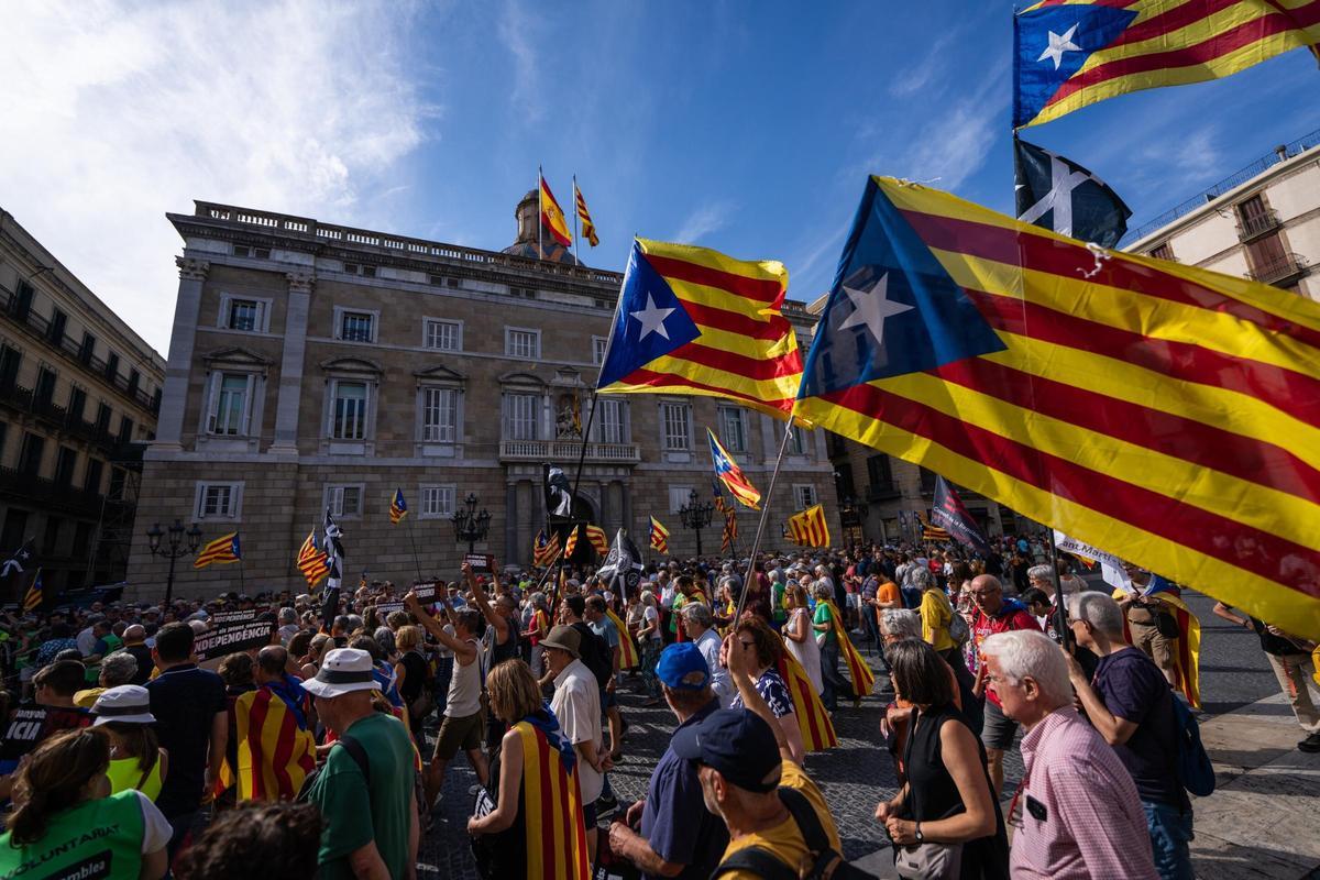 Banderas de la 'senyera' en la manifestación de la ANC de este sábado en frente de la Generalitat