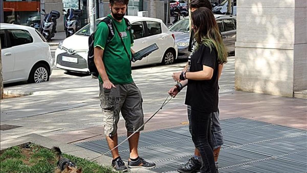 zentauroepp39902493 barcelona  20170901  informadores municipales en campa a de 170901182204