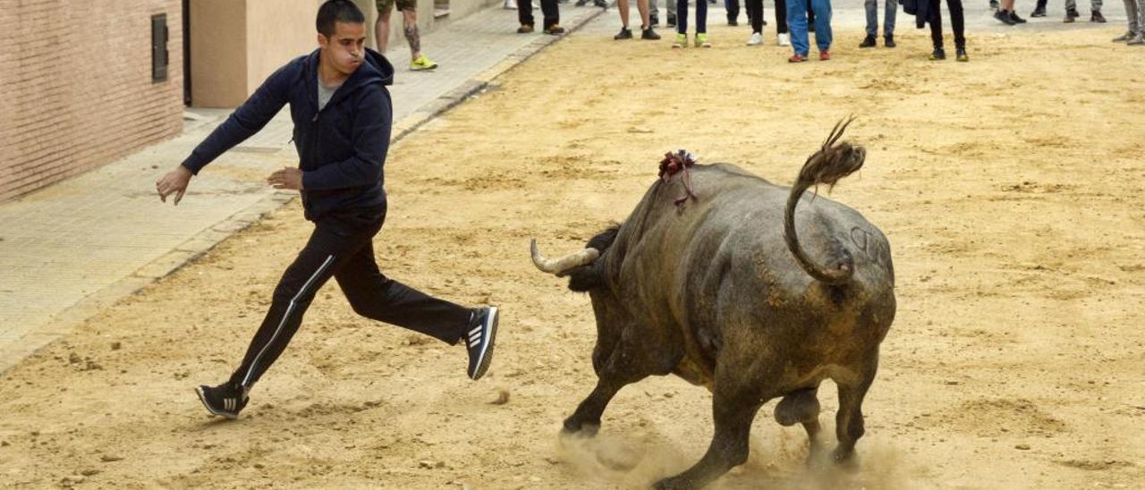 Ondara arranca su semana taurina