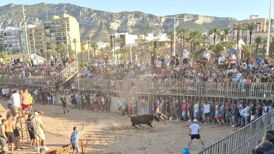 Embestidas, revolcones y una cogida grave en los "bous a la mar" de Dénia (vídeo)