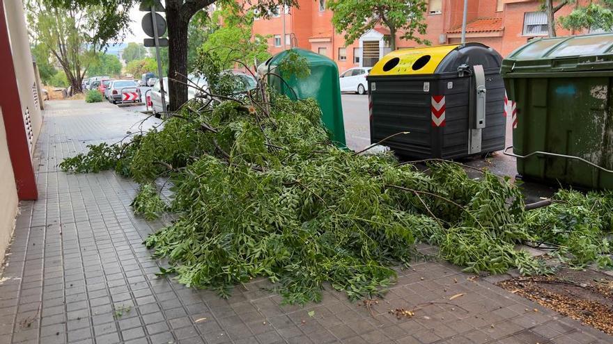 Ramas de árboles caídas por el temporal en la barriada cacereña de Aldea Moret