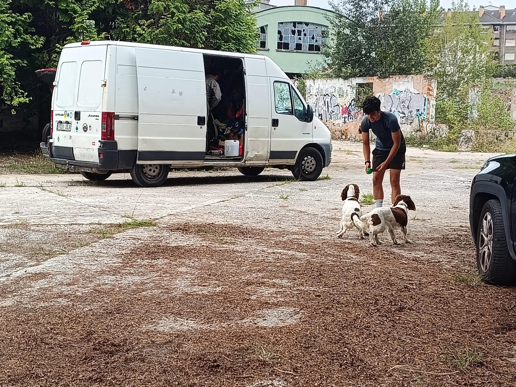 Así entrena la Unidad Canina de Rescate del Principado de Asturias, con sede en La Morgal