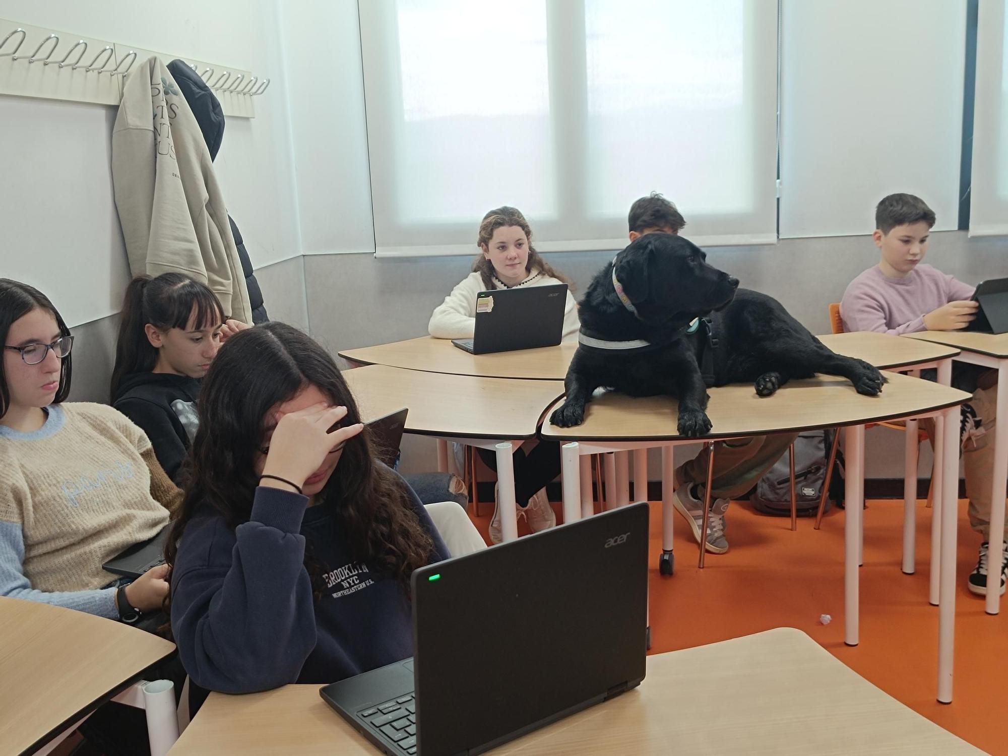 "Turrón", uno más en las clases del Instituto La Fresneda
