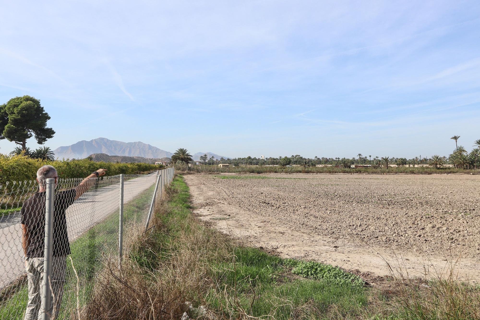 Tercera campaña arqueológica en el campo de concentración de Albatera