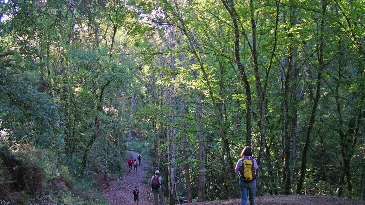 El sendero de Málaga con puentes de madera, cuevas y bosques que se presenta como una de las mejores rutas para disfrutar del otoño