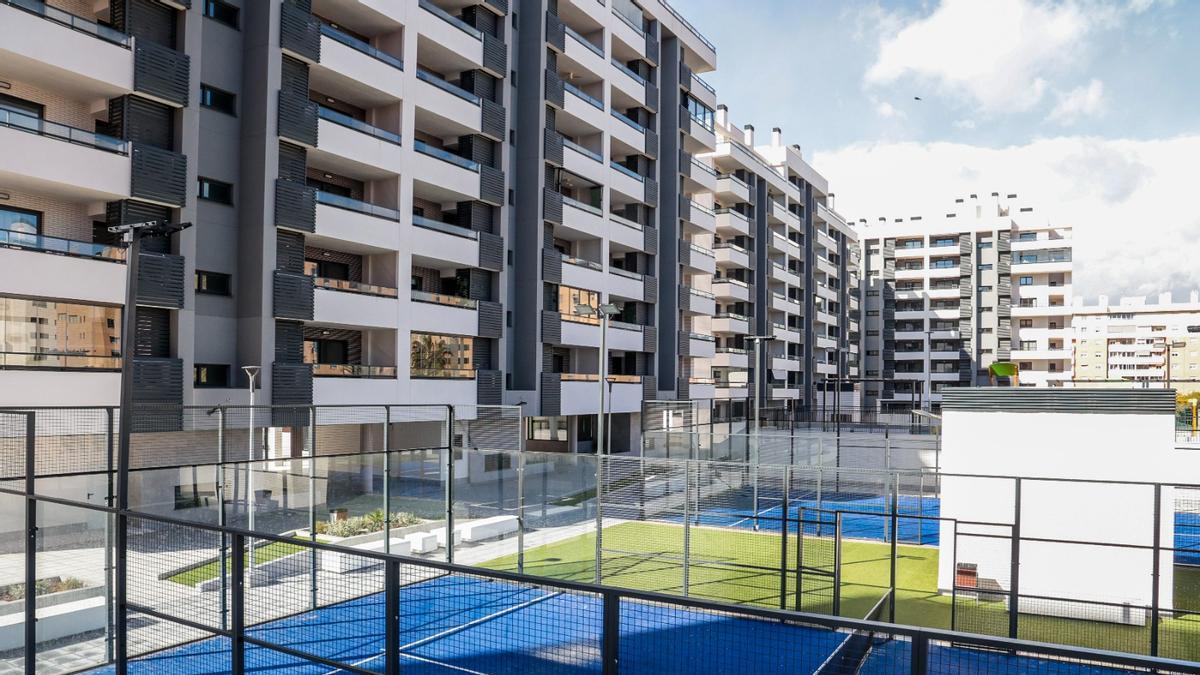 Mudanza en uno de los pisos de las viviendas protegidas Les Naus de Alicante este domingo